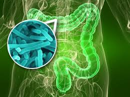 Probioticos RECOMENDACIONES PARA CUIDAR MI COLON